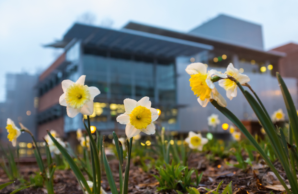 Flowers in front of the CULC