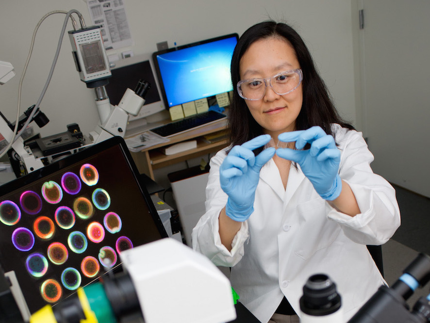 GT faculty researcher observing a slide in the lab.