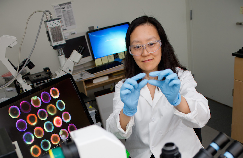 GT faculty researcher observing a slide in the lab.